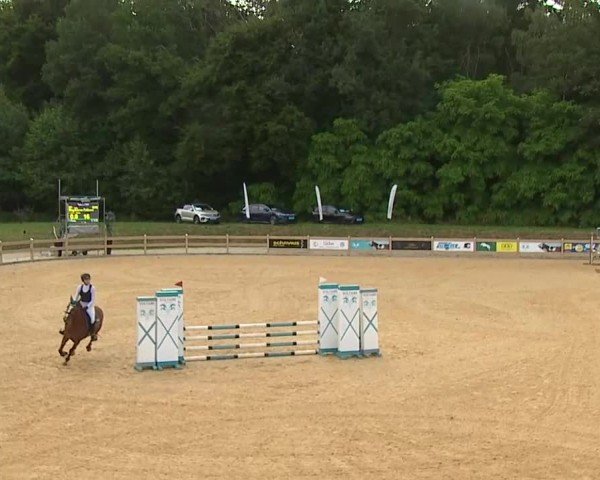 Reitturnier Tiefenhof/Opf. 2025