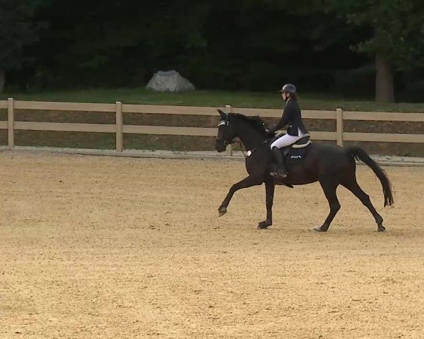 Reitturnier Tiefenhof/Opf. 2025