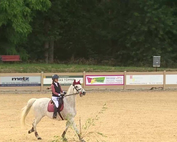 Reitturnier Tiefenhof/Opf. 2025