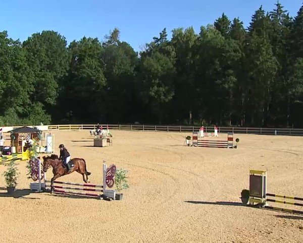 Reitturnier Tiefenhof/Opf. 2025