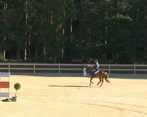 Reitturnier Tiefenhof/Opf. 2025
