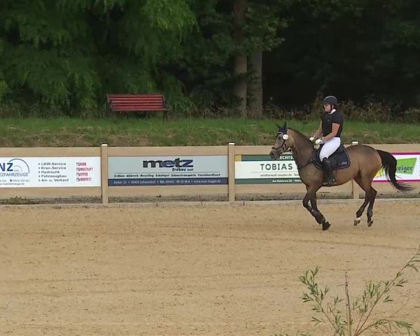 Reitturnier Tiefenhof/Opf. 2025