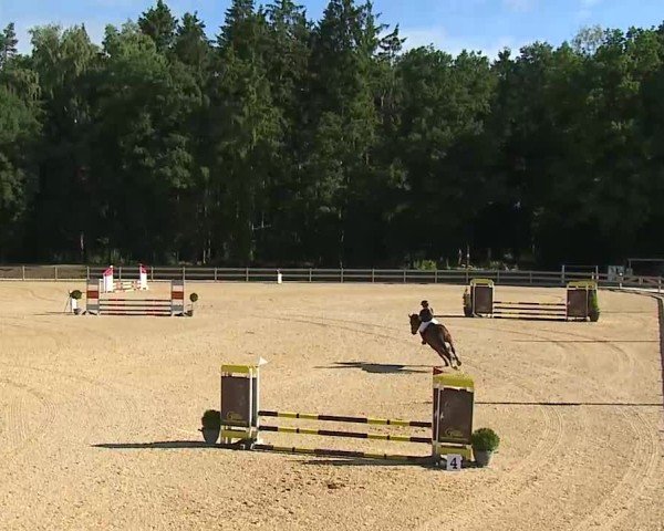 Reitturnier Tiefenhof/Opf. 2025