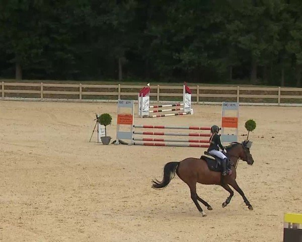 Reitturnier Tiefenhof/Opf. 2025