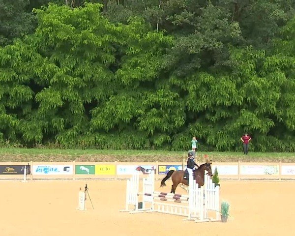 Reitturnier Tiefenhof/Opf. 2025