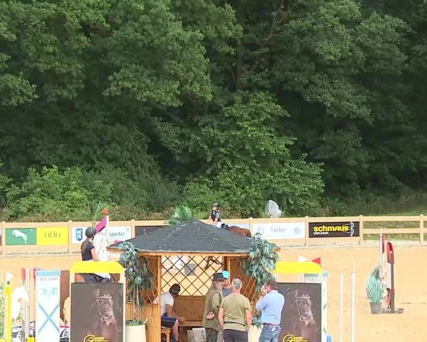 Reitturnier Tiefenhof/Opf. 2025