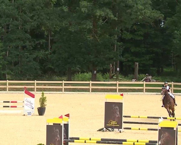 Reitturnier Tiefenhof/Opf. 2025