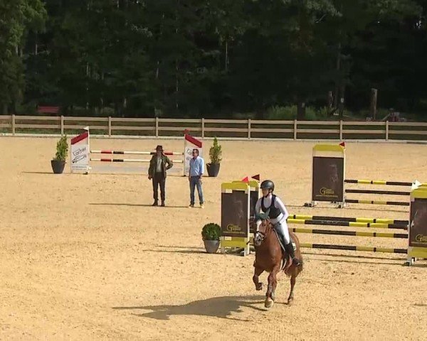 Reitturnier Tiefenhof/Opf. 2025