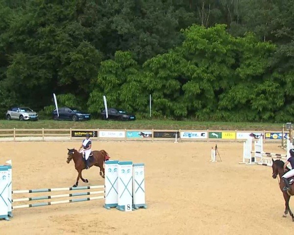 Reitturnier Tiefenhof/Opf. 2025