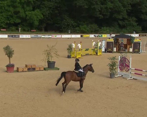 Reitturnier Tiefenhof/Opf. 2025