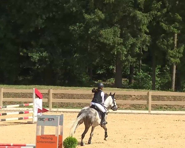Reitturnier Tiefenhof/Opf. 2025