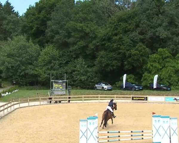 Reitturnier Tiefenhof/Opf. 2025
