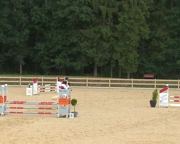 Reitturnier Tiefenhof/Opf. 2025