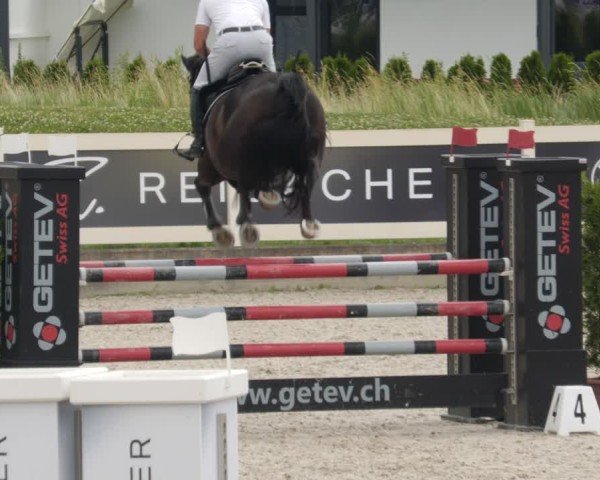 Reitturnier Babenhausen/Schw. 2025