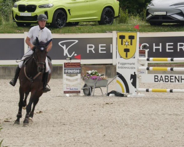Reitturnier Babenhausen/Schw. 2025