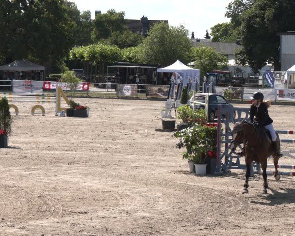 Reitturnier Langenfeld 2025