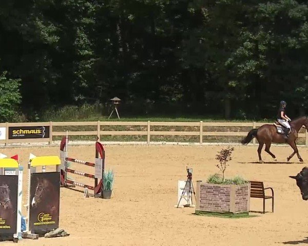 Reitturnier Tiefenhof/Opf. 2025