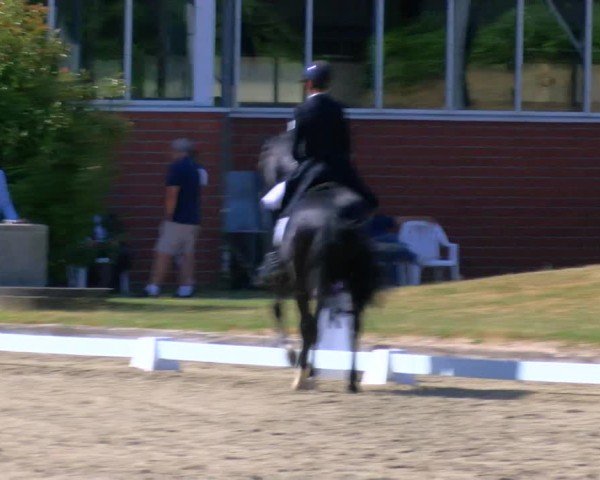 Reitturnier Langenfeld 2025