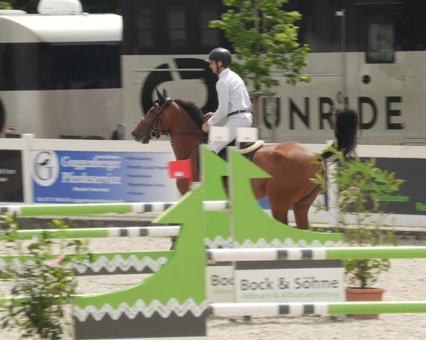 Reitturnier Babenhausen/Schw. 2025