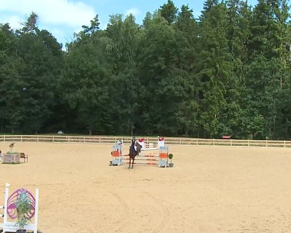 Reitturnier Tiefenhof/Opf. 2025