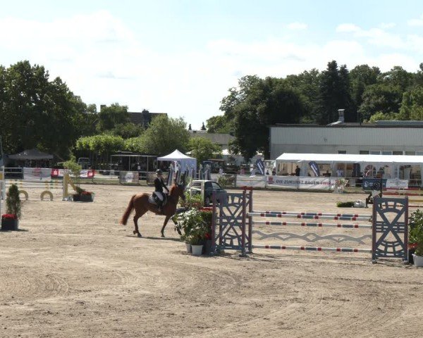 Reitturnier Langenfeld 2025