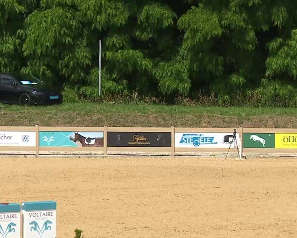 Reitturnier Tiefenhof/Opf. 2025