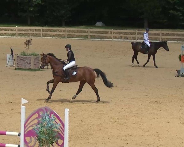 Reitturnier Tiefenhof/Opf. 2025