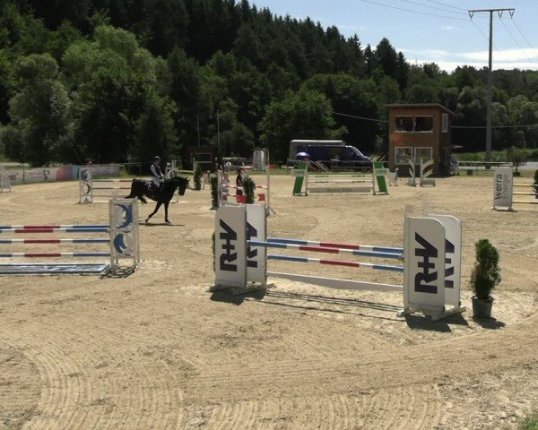 Reitturnier Bad Liebenstein/Sorga 2025