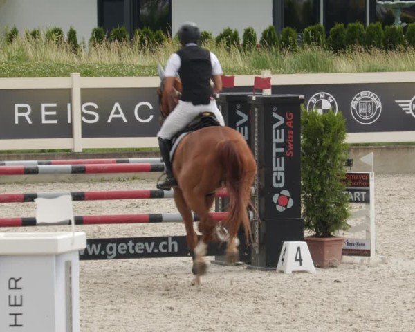 Reitturnier Babenhausen/Schw. 2025