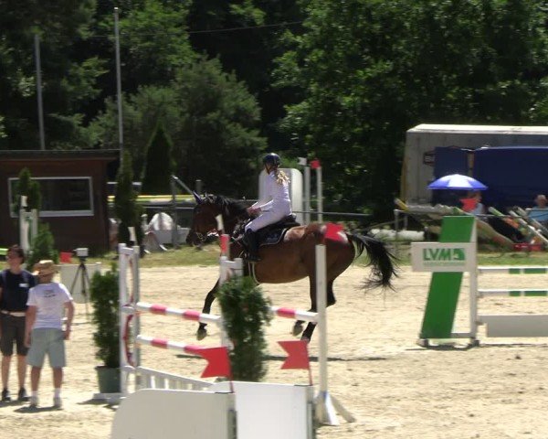 Reitturnier Bad Liebenstein/Sorga 2025