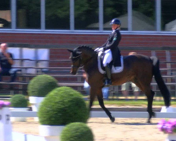 Reitturnier Langenfeld 2025