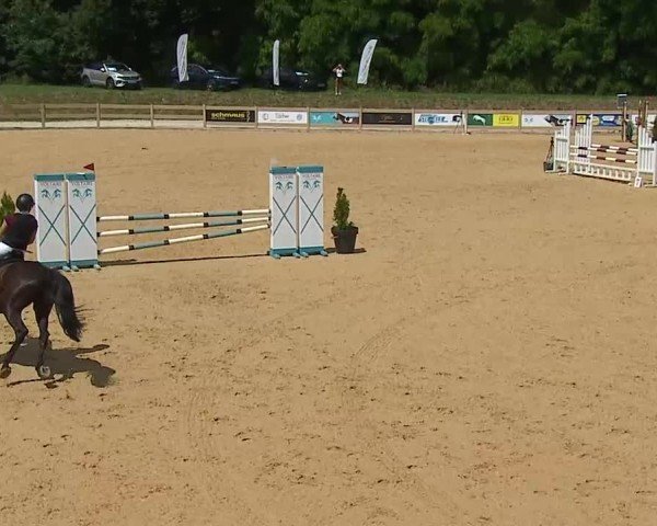 Reitturnier Tiefenhof/Opf. 2025
