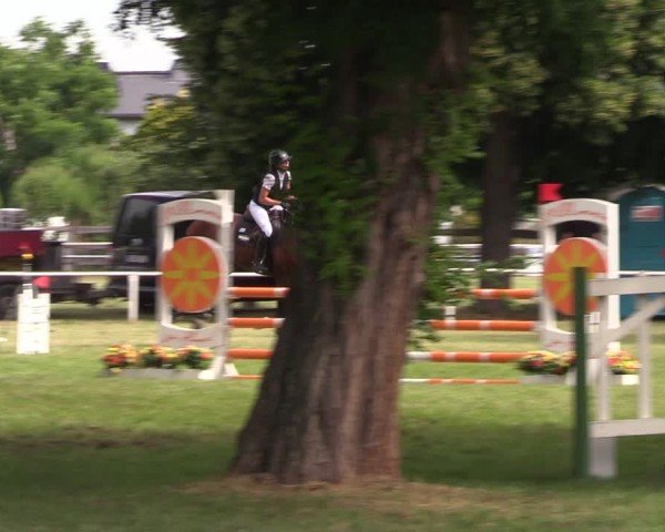 Reitturnier Schwittersdorf-Beesenstedt 2025