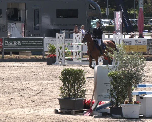 Reitturnier Langenfeld 2025