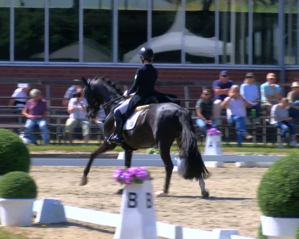 Reitturnier Langenfeld 2025