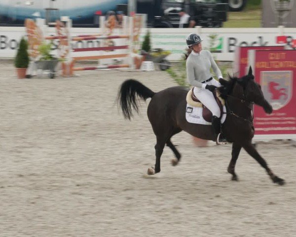 Reitturnier Babenhausen/Schw. 2025