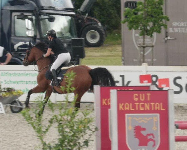 Reitturnier Babenhausen/Schw. 2025