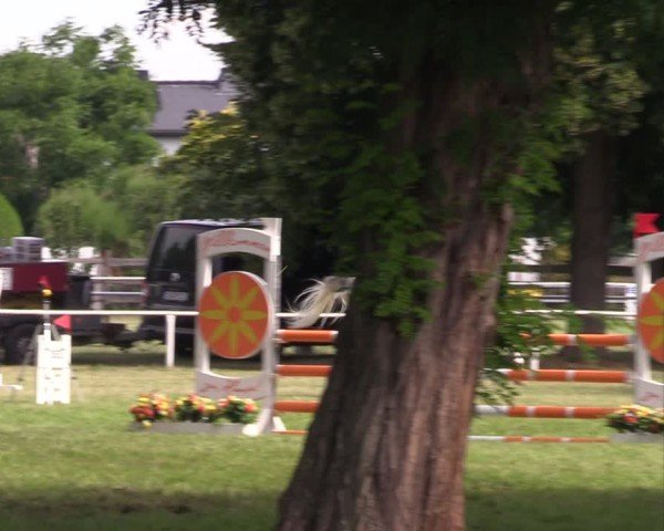 Reitturnier Schwittersdorf-Beesenstedt 2025