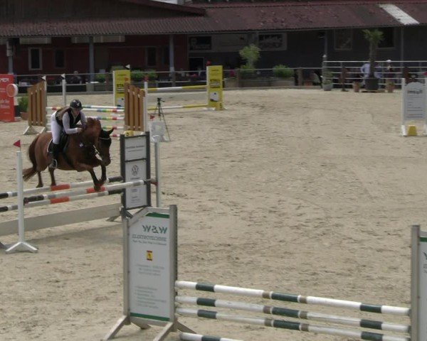 Reitturnier Uder, Reitanlage Kobold 2025