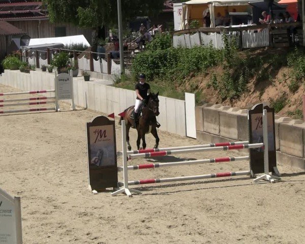 Reitturnier Uder, Reitanlage Kobold 2025