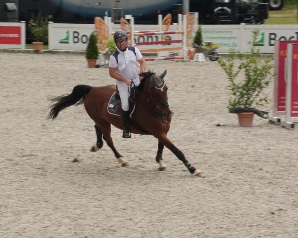 Reitturnier Babenhausen/Schw. 2025