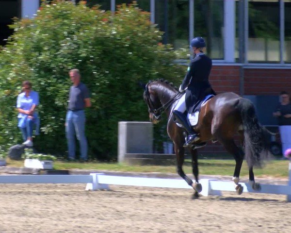 Reitturnier Langenfeld 2025