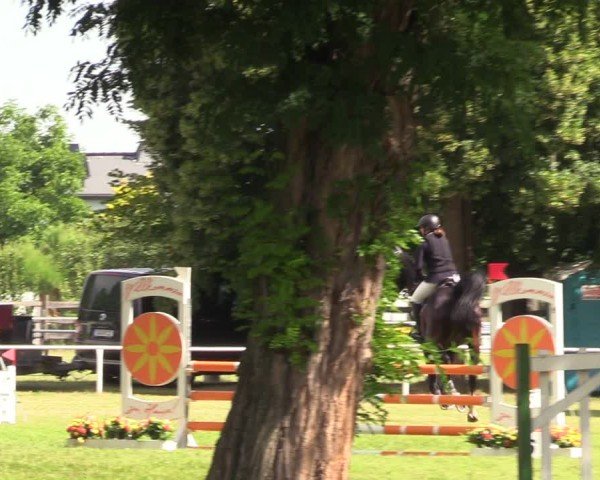 Reitturnier Schwittersdorf-Beesenstedt 2025