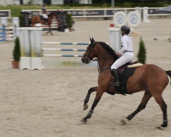 Reitturnier Babenhausen/Schw. 2025