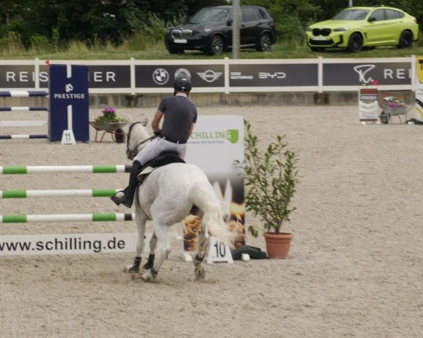 Reitturnier Babenhausen/Schw. 2025