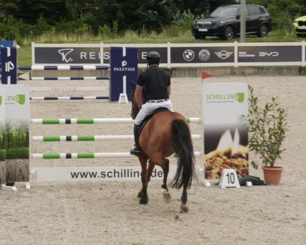 Reitturnier Babenhausen/Schw. 2025