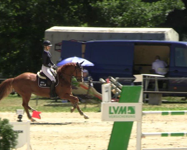 Reitturnier Bad Liebenstein/Sorga 2025
