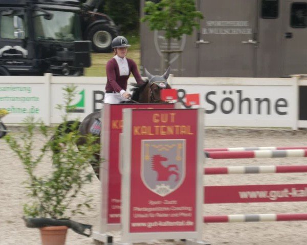 Reitturnier Babenhausen/Schw. 2025