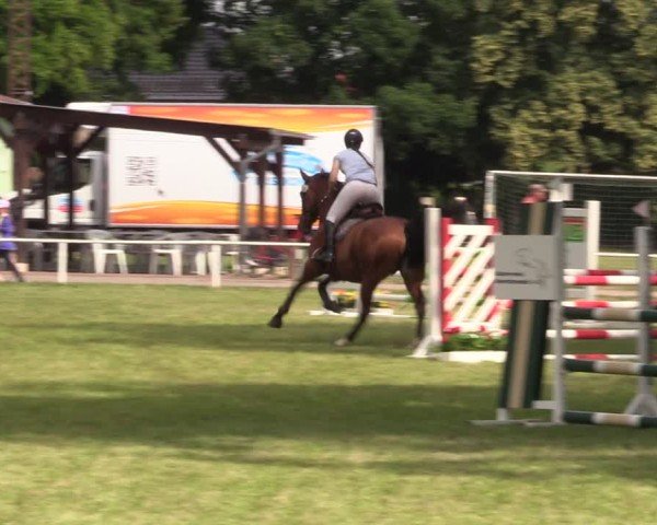 Reitturnier Schwittersdorf-Beesenstedt 2025