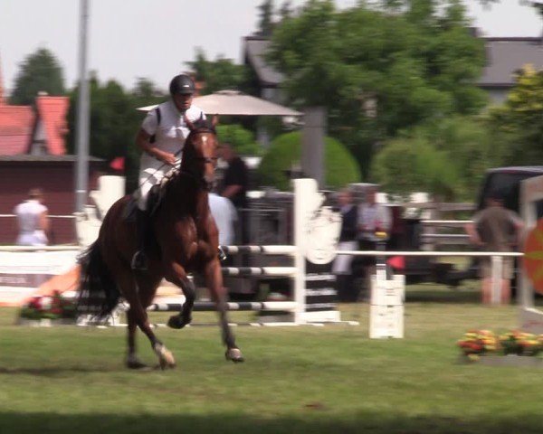 Reitturnier Schwittersdorf-Beesenstedt 2025